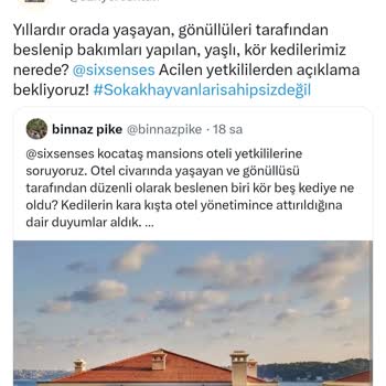 Six Senses Kocatas Mansions Sarıyer Six Şenses Otel Kedilerin Yaşam Hak. İhlal Ettiği Yönünde İfşa