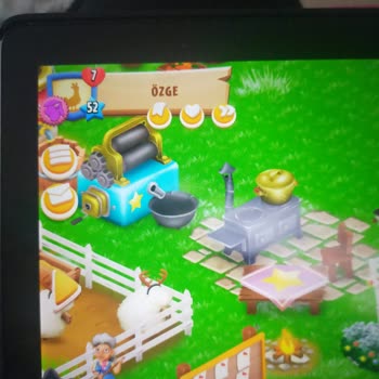 Hay Day Yardımcı Olamayan Destek Ekibi