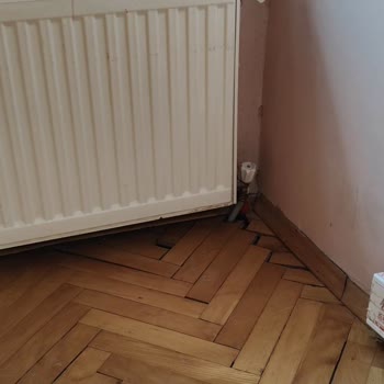 Wall Street Emlak Daire Kiralama Yapımında Usulsüzlük