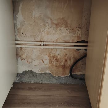 Wall Street Emlak Daire Kiralama Yapımında Usulsüzlük