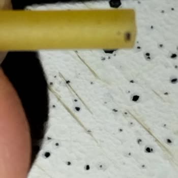 Filiz Makarna Makarnalardaki Siyah Noktalar Belirsizlik