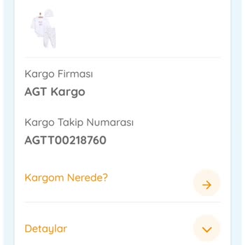 AGT Kurye (aynigunteslim.com) Teslim Edilmeyen Ürün