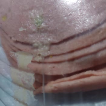 Polonez Et Ürünleri Hindi Salamında Yabancı Madde, Hayal Kırıklığı