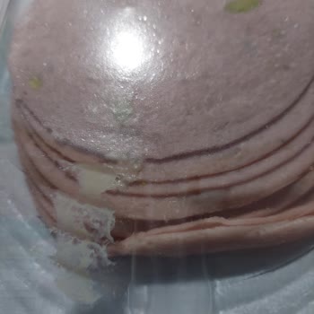 Polonez Et Ürünleri Hindi Salamında Yabancı Madde, Hayal Kırıklığı