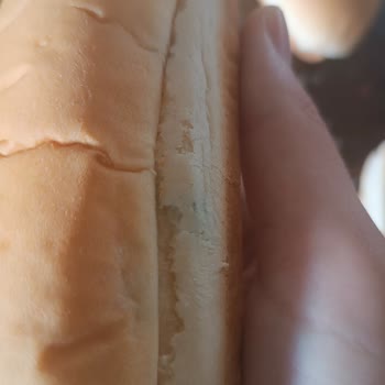 BİM Küflenmiş Sandviç Ekmeği