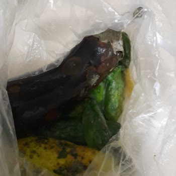 Vestel Buzdolabı Performans Düşüklüğü