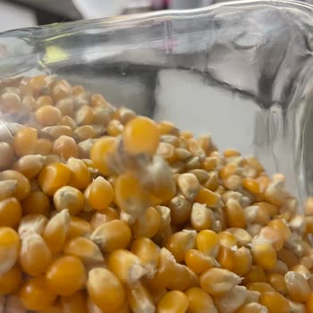 Migros'ta Patlayan Mısırdan Güve Çıktı