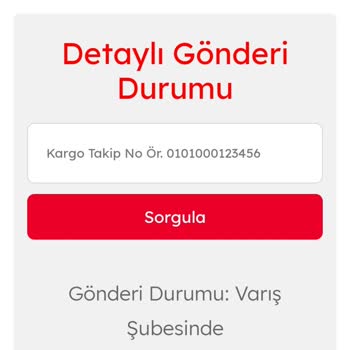 Evdemo Lojistik Gelmeyen Kargo Sorunu
