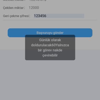 eBay Paramı Çekemiyorum Ne Yaptıysam Olmadı