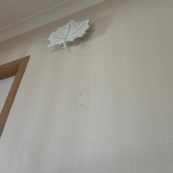 Enzel Elektrik Türk'ün Ahi Evran Geleneğine Sahip Bir Esnaf Değil!