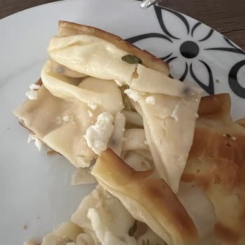 Tatbak Küflü Su Böreği