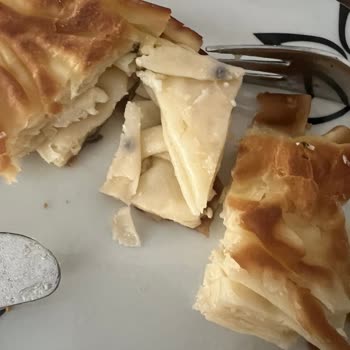 Tatbak Küflü Su Böreği