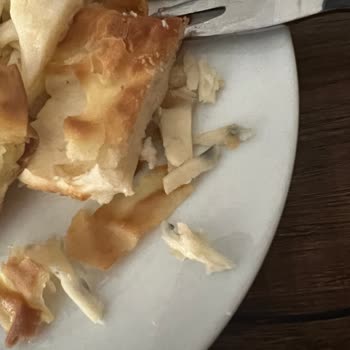 Tatbak Küflü Su Böreği