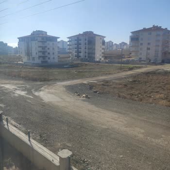 Polatlı Belediyesi Kopek Sorununu Çözmeli