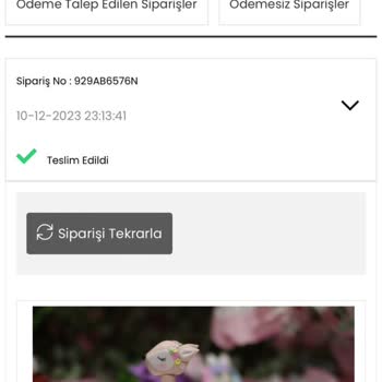 Liva Pastanesi (livashop.com) Özel Gün Pastası Hayal Kırıklığı Ve İade Sorunu