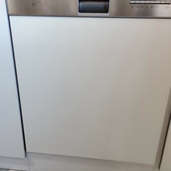 Dominox Bulaşık Makinesi Küflenmesi