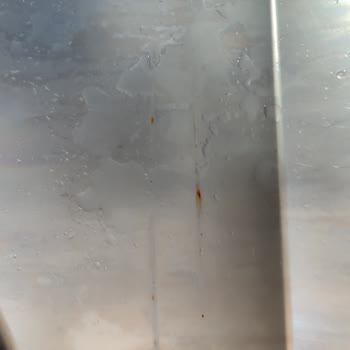 Dominox Bulaşık Makinesi Küflenmesi