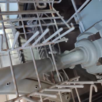 Dominox Bulaşık Makinesi Küflenmesi