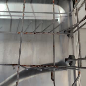 Dominox Bulaşık Makinesi Küflenmesi