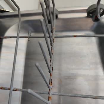 Dominox Bulaşık Makinesi Küflenmesi