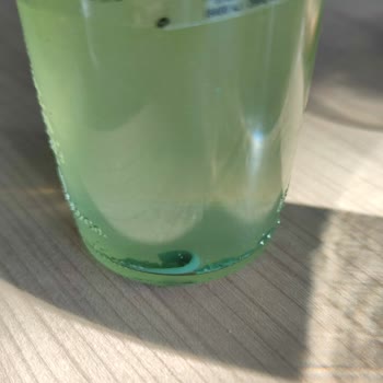 Schweppes Gazlı İçecek Felaketi