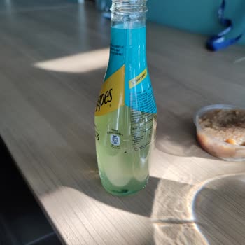 Schweppes Gazlı İçecek Felaketi