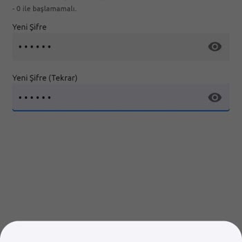 Nkolay Üye Olamıyorum Sürekli Şifre İle İlgili Hata Alıyorum