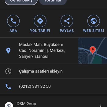 Dsm Grup Danışmanlık
