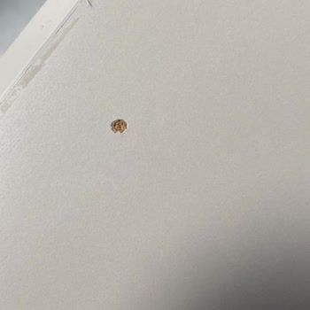 Vivense Hatalı Ürün Teslimatı