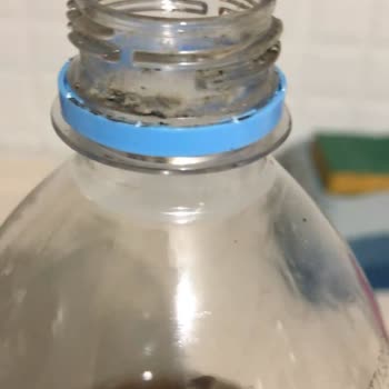 Pepsi Küflenmiş Ürün Satışı