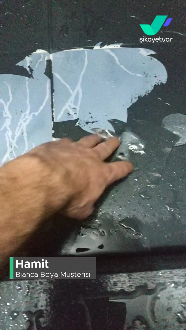 Bianca Stella Emeklerim Boşuna Gitti videonun kapak resmi