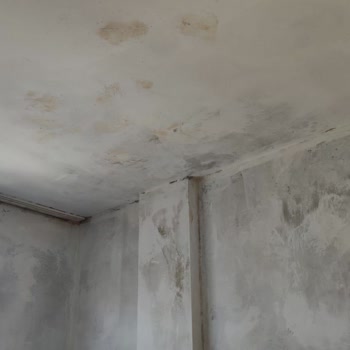 Vodafone Kiralama Destek Hattı