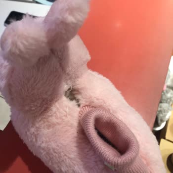 Twigy 2 Kez Giyilen Terlik Yırtıldı