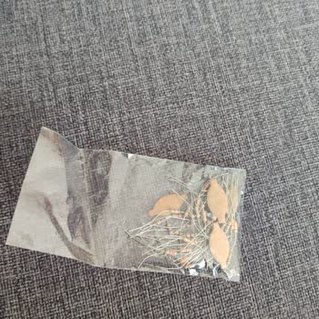 Lodos Elektronik Trendyol Mağazası Boş Kargo Poşeti Gönderisi