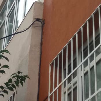 Türk Telekom Hat Kablolarını Vermiş Olduğu Zarar