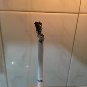 Philip Morris Parliament Aqua Blue Slims