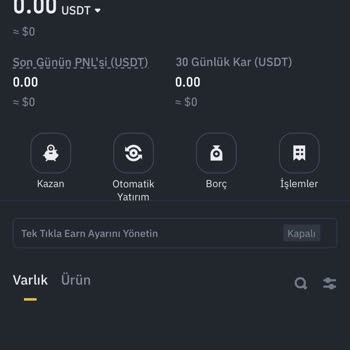 Binance Borsasında Coinlerimi Göremiyorum