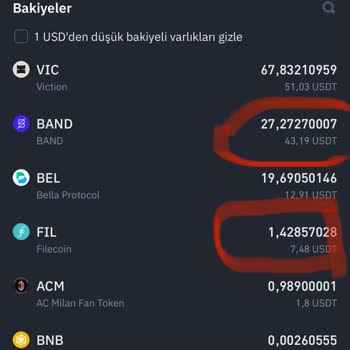 Binance Borsasında Coinlerimi Göremiyorum