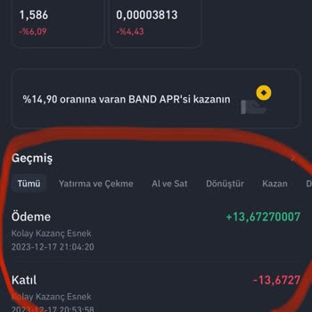 Binance Borsasında Coinlerimi Göremiyorum