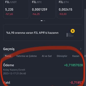 Binance Borsasında Coinlerimi Göremiyorum