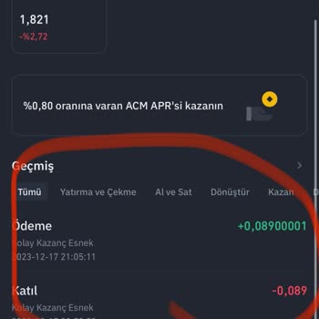 Binance Borsasında Coinlerimi Göremiyorum