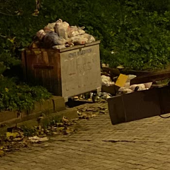 İzmit Belediyesi Çöp Konteynırlarının Alınmaması
