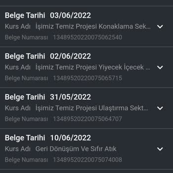E-Devlet (Turkiye.gov.tr) Alakam Olmayan Kurslarda Sertifikam Var
