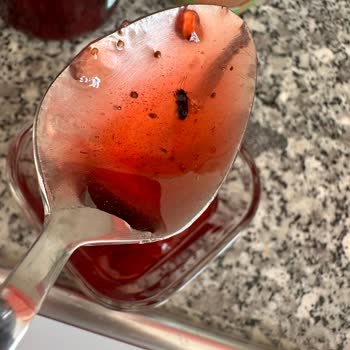 Koska Nazar Boncuklu Koska Çilek Reçeli İçinden Çıkan Kanatlı Böcek