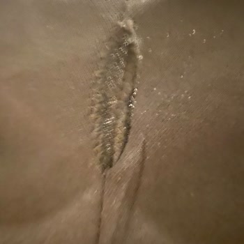 Seyyis Store Seyyis.co Sitesi Eşofman Altı 3 'ü De Yırtık.