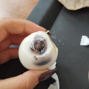 KYK Yemeklerinin Sağlığa Aykırı Olması