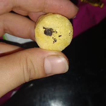 Çerezos Cipsten Plastikten Parçası