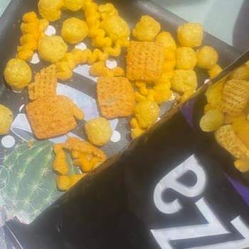 Çerezza İnsan Sağlığı Denetim Olmaması