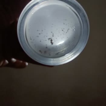 Hayat Su Damacana İçerisinden Kıl Çıktı