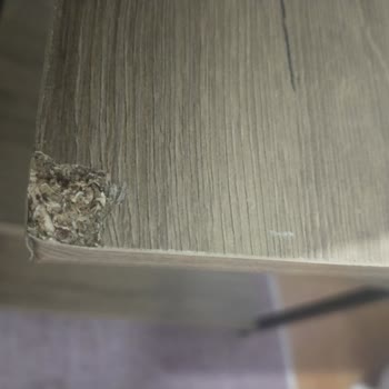 Cepte Şok Pişmanlıktır! Ücret İadesi Yapılmayan Çalışma Masası